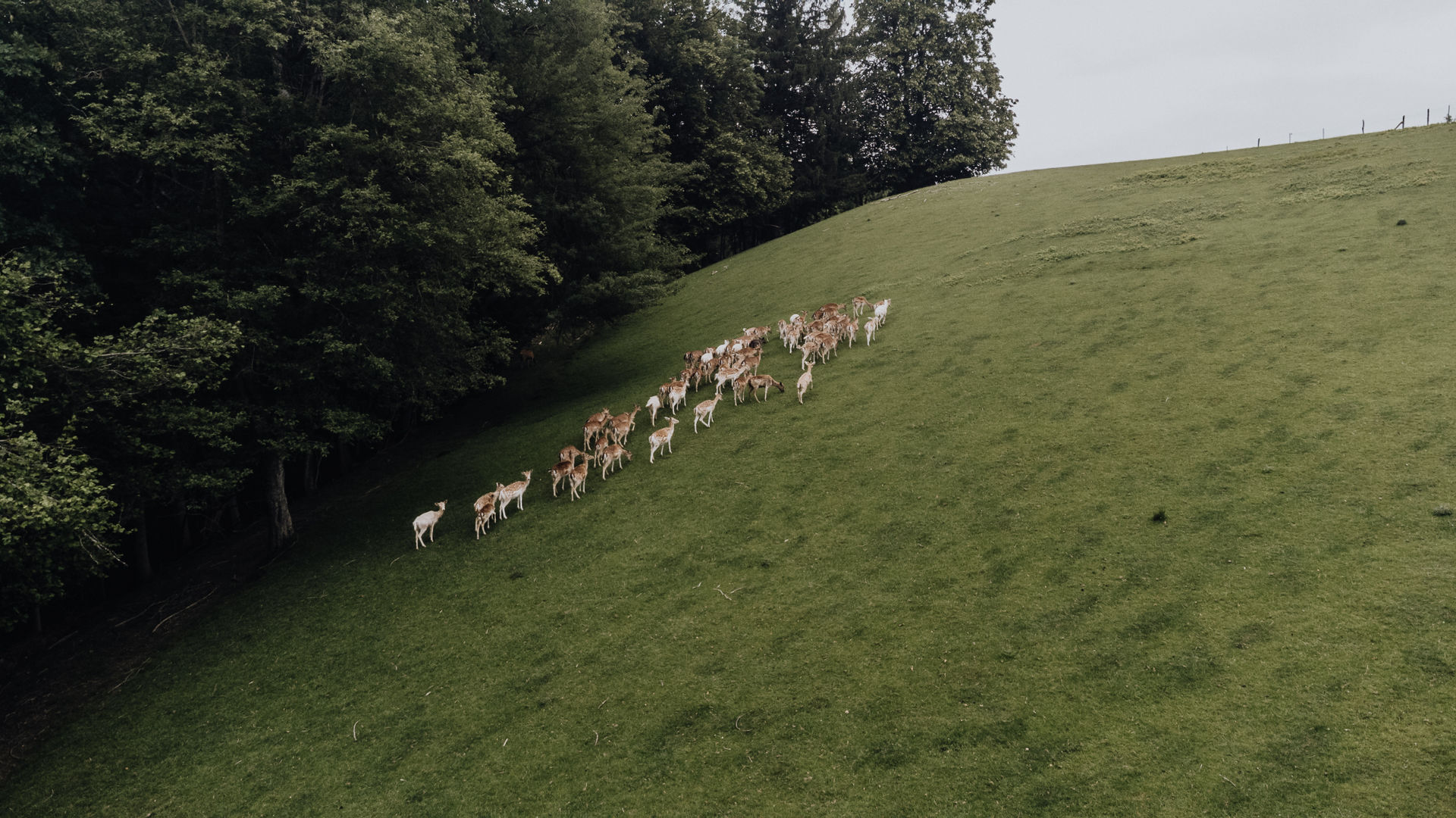 15 - Luftbilder-0758