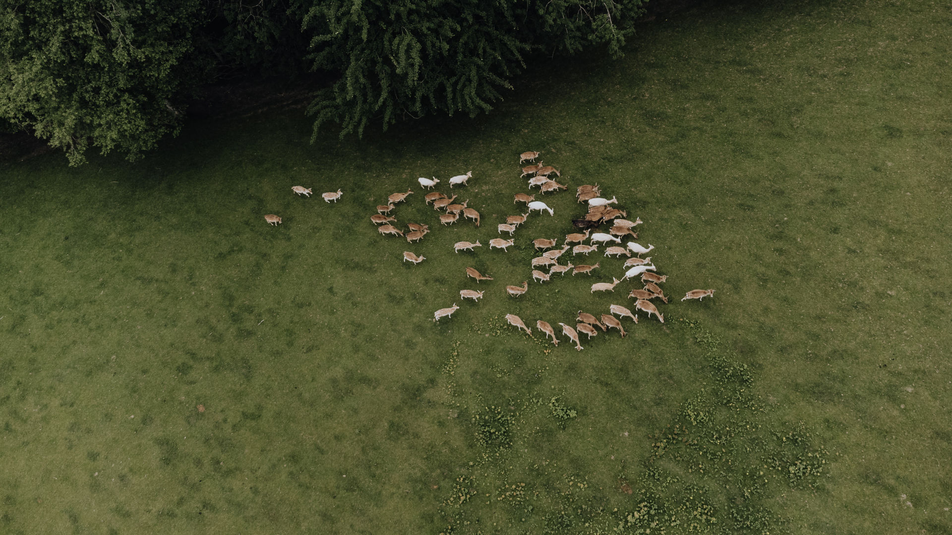 16 - Luftbilder-0761