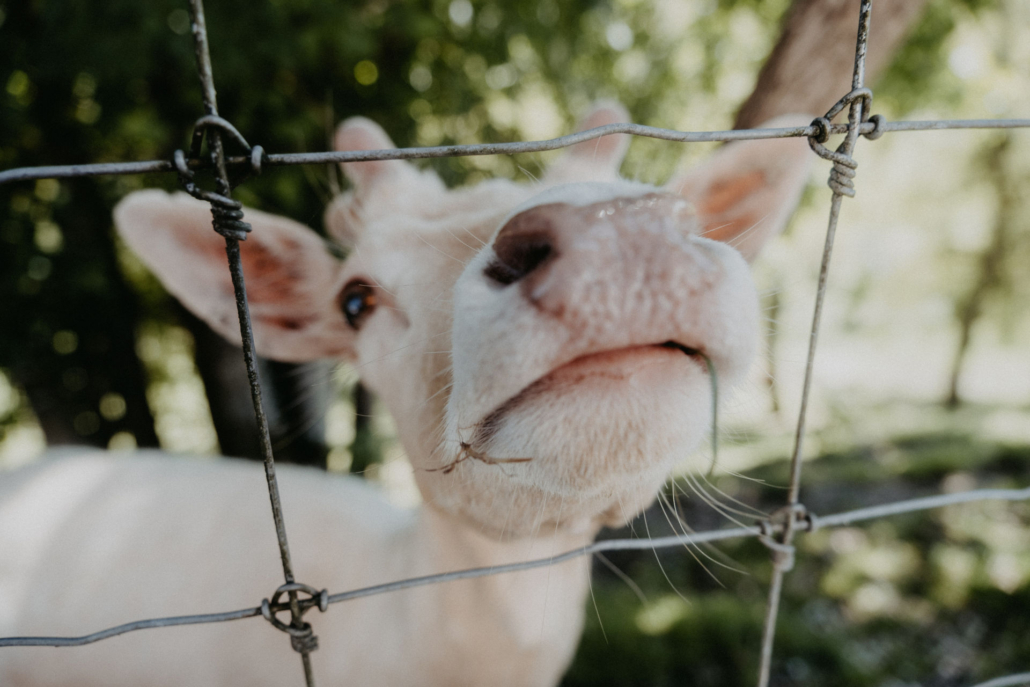 60 - Family & Hof-12