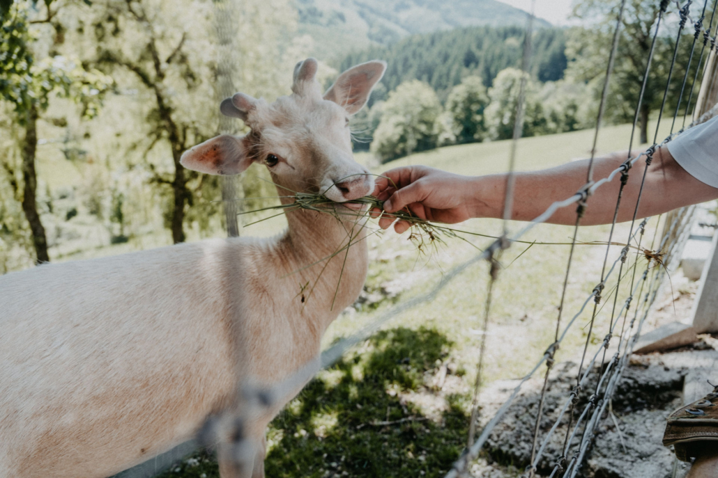 61 - Family & Hof-13